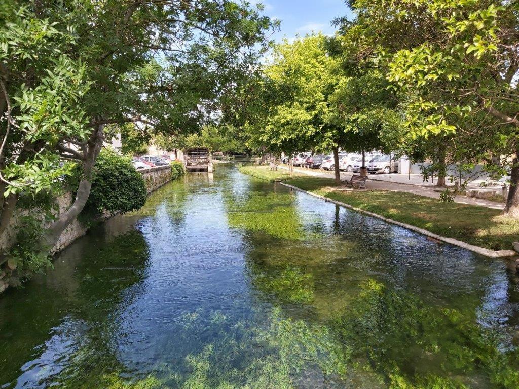 Gite Dans Les Pins Avec Piscine Vila Mazan Exterior foto
