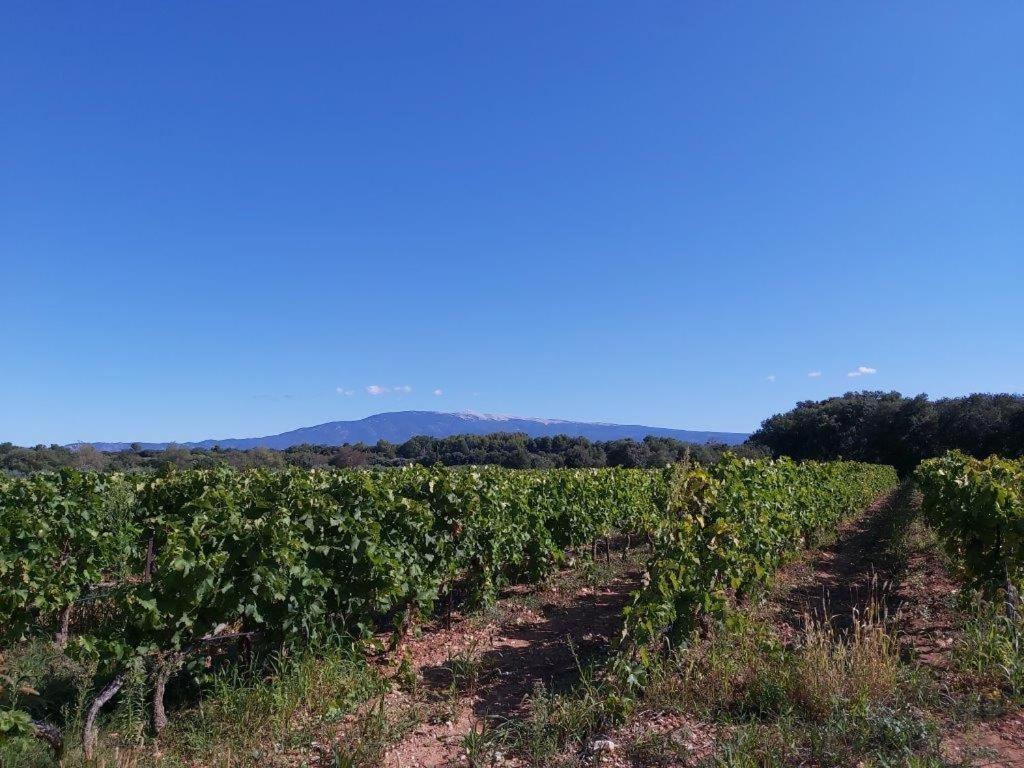 Gite Dans Les Pins Avec Piscine Vila Mazan Exterior foto